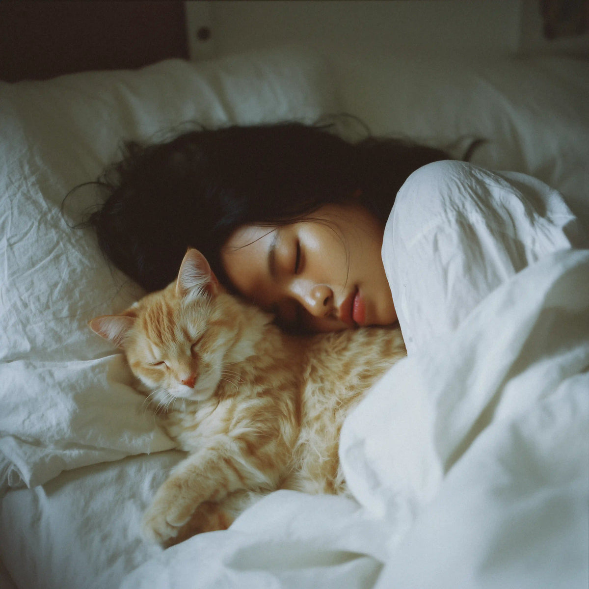 fille qui dort avec son chat 